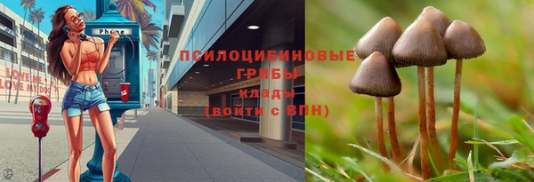 mdpv Новодвинск