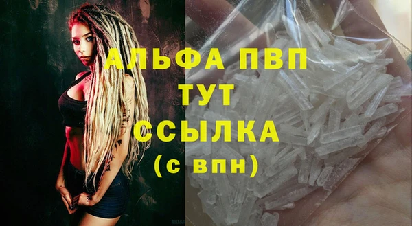 ПСИЛОЦИБИНОВЫЕ ГРИБЫ Болохово