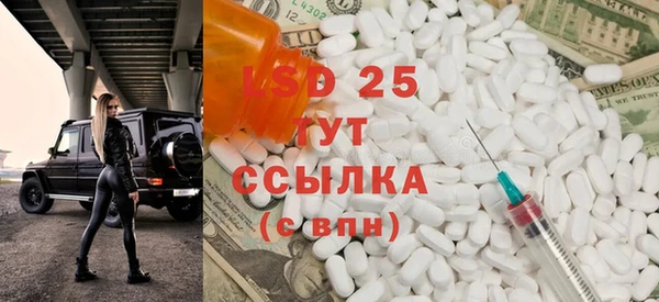 индика Болотное