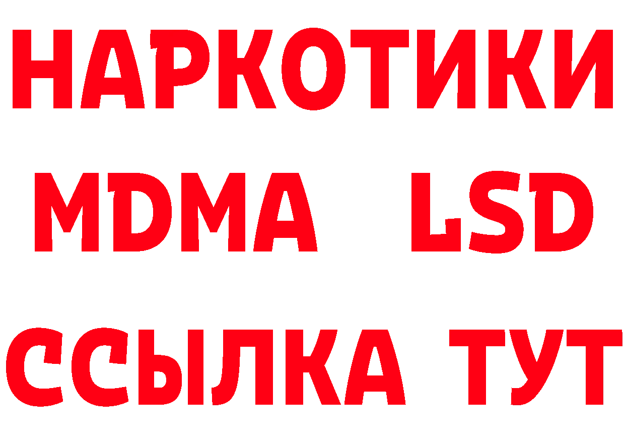 МЯУ-МЯУ 4 MMC как войти мориарти мега Дальнереченск