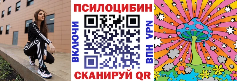 Псилоцибиновые грибы ЛСД Дальнереченск